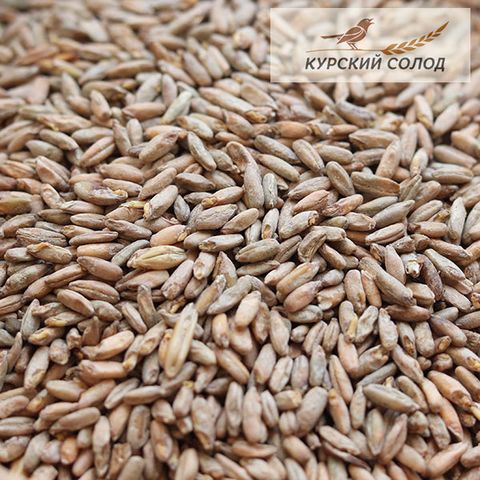 картинка Солод Ржаной, неферментированный, Курский от магазина Мангалторг