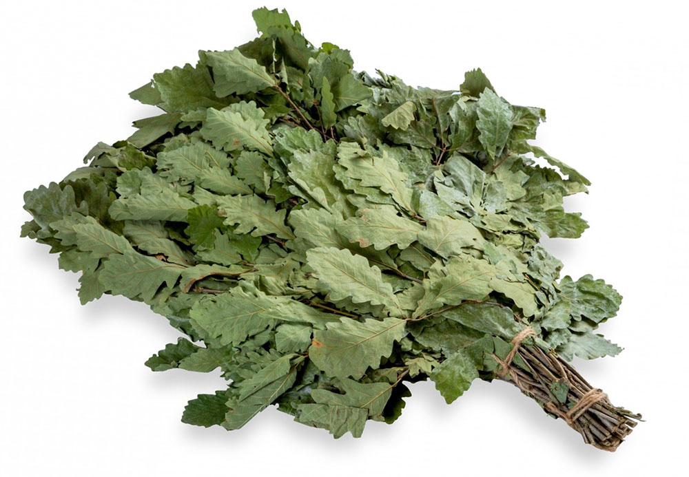 картинка Веник для бани (дубовый) от магазина Мангалторг