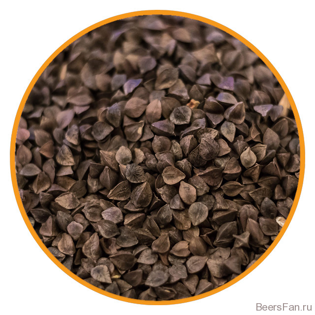 картинка Солод Гречишный, Курский от магазина Мангалторг