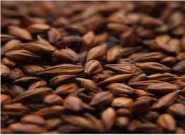 картинка Солод Карамельный 300, Курский от магазина Мангалторг